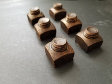 Load image into Gallery viewer, Decorative Resin Square Nuts- 1 Dozen