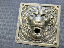 Load image into Gallery viewer, Lion Doorbell/Button Plate